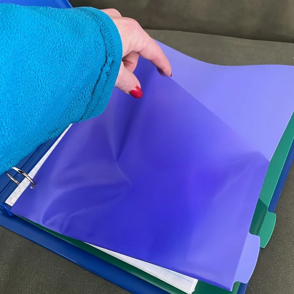 Blue and Purple File Organizer